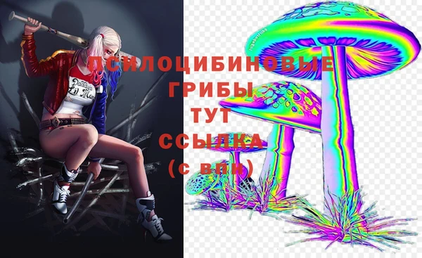 PSILOCYBIN Абаза