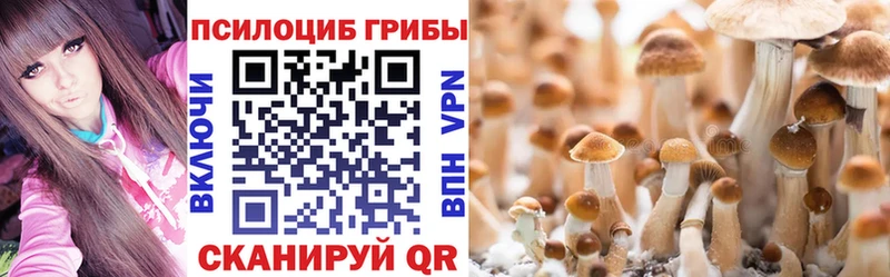 купить наркотики сайты  shop клад  Псилоцибиновые грибы ЛСД  Смоленск 